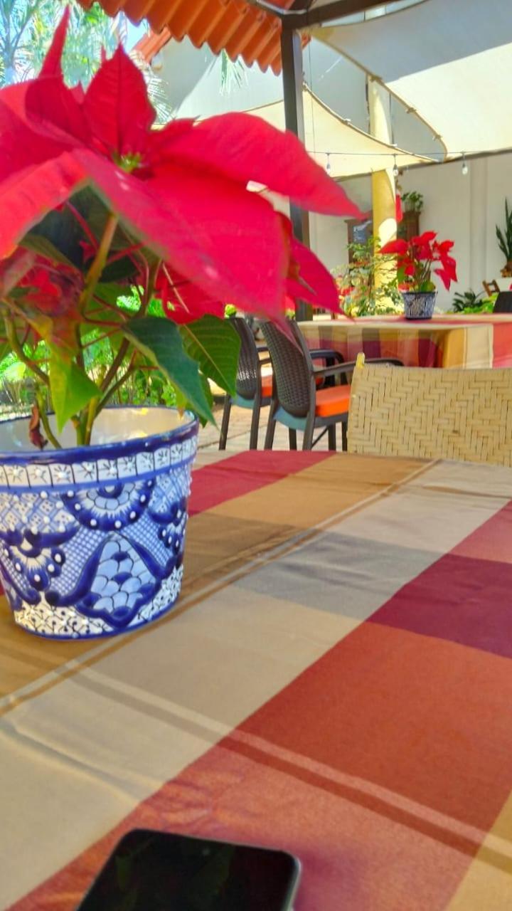 Quinta Rosita Bed & Breakfast Ticul Dış mekan fotoğraf