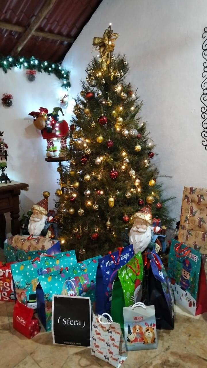 Quinta Rosita Bed & Breakfast Ticul Dış mekan fotoğraf