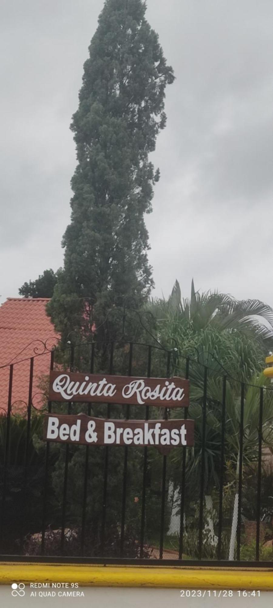 Quinta Rosita Bed & Breakfast Ticul Dış mekan fotoğraf