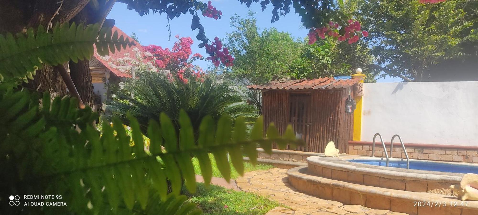 Quinta Rosita Bed & Breakfast Ticul Dış mekan fotoğraf