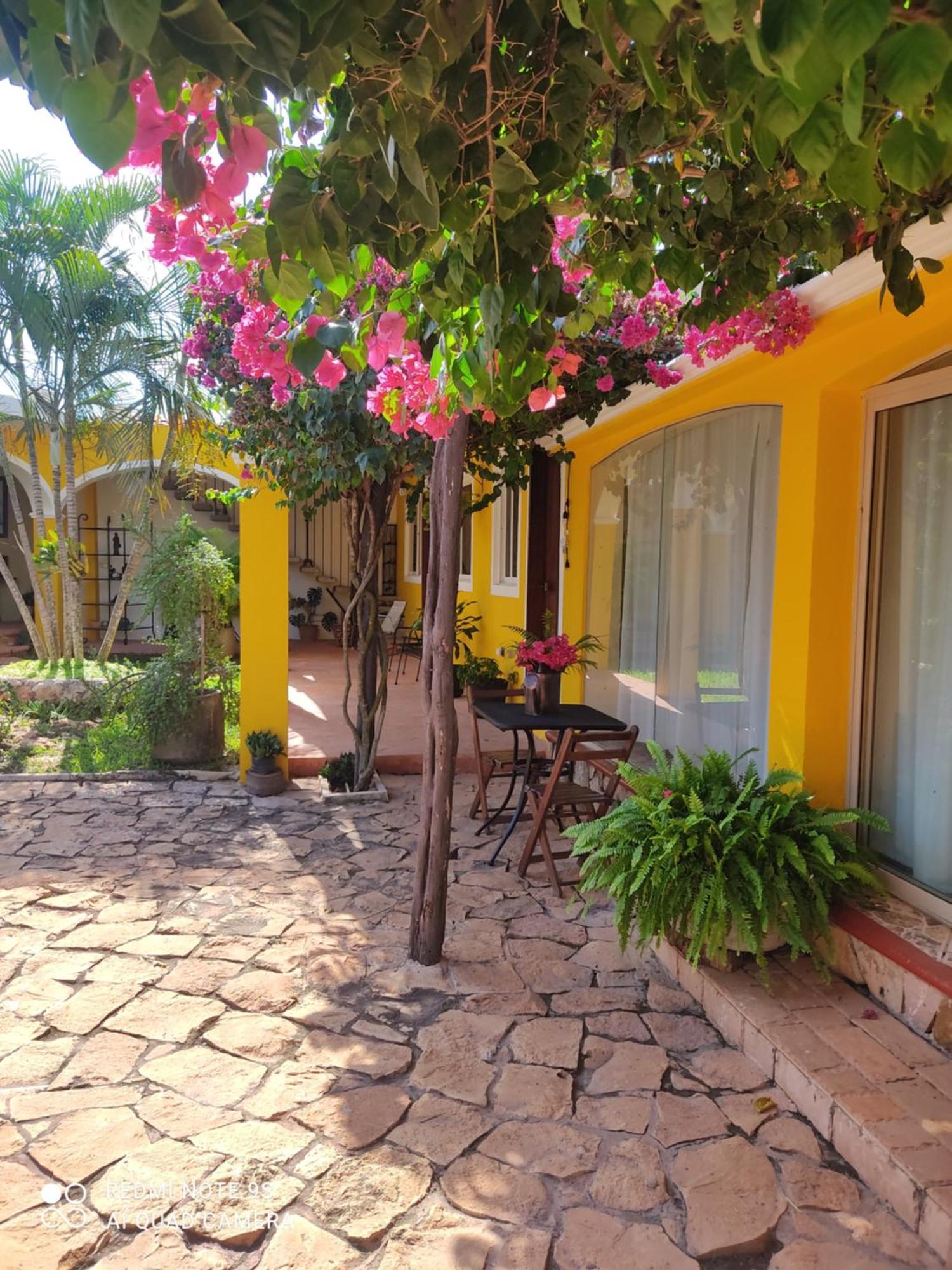 Quinta Rosita Bed & Breakfast Ticul Dış mekan fotoğraf