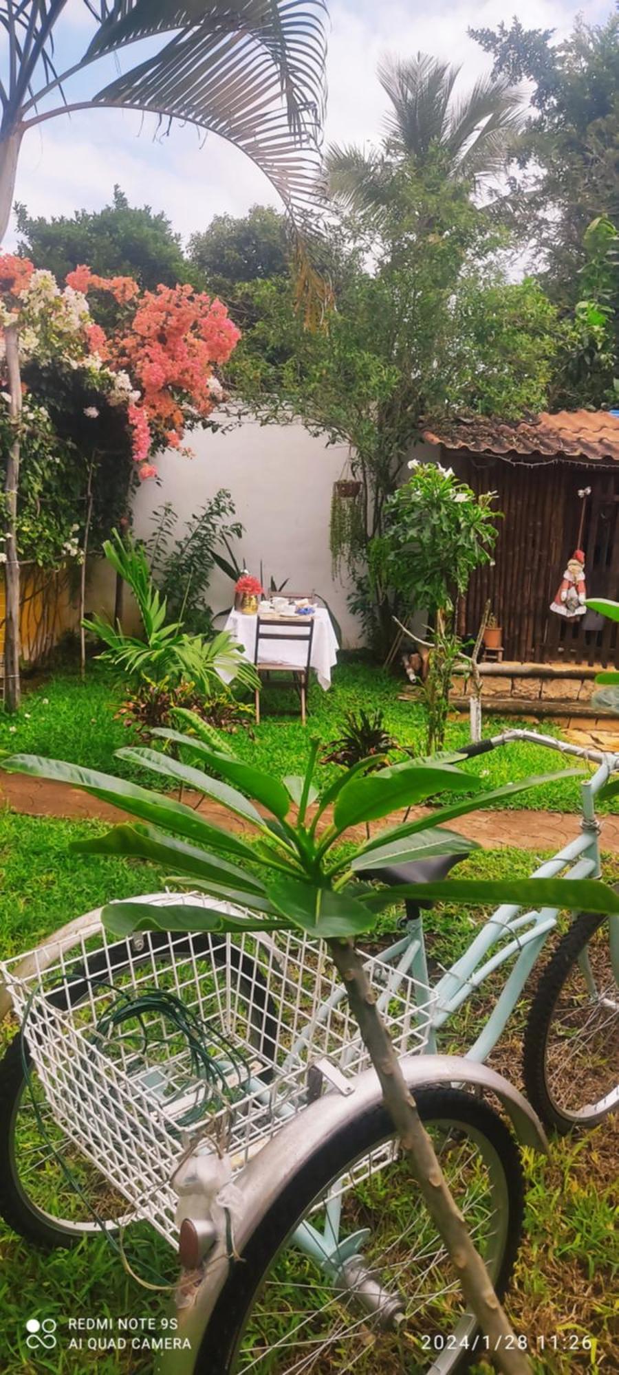Quinta Rosita Bed & Breakfast Ticul Dış mekan fotoğraf