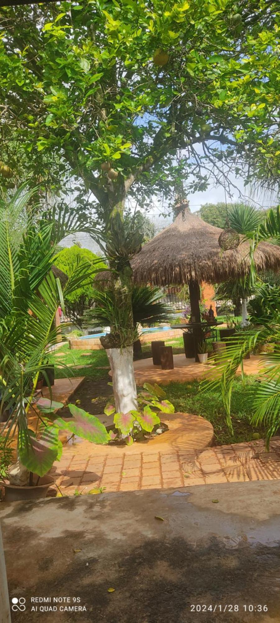 Quinta Rosita Bed & Breakfast Ticul Dış mekan fotoğraf