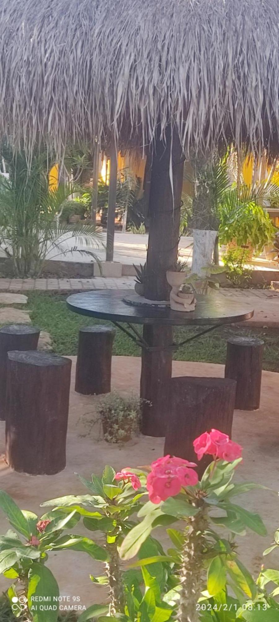 Quinta Rosita Bed & Breakfast Ticul Dış mekan fotoğraf