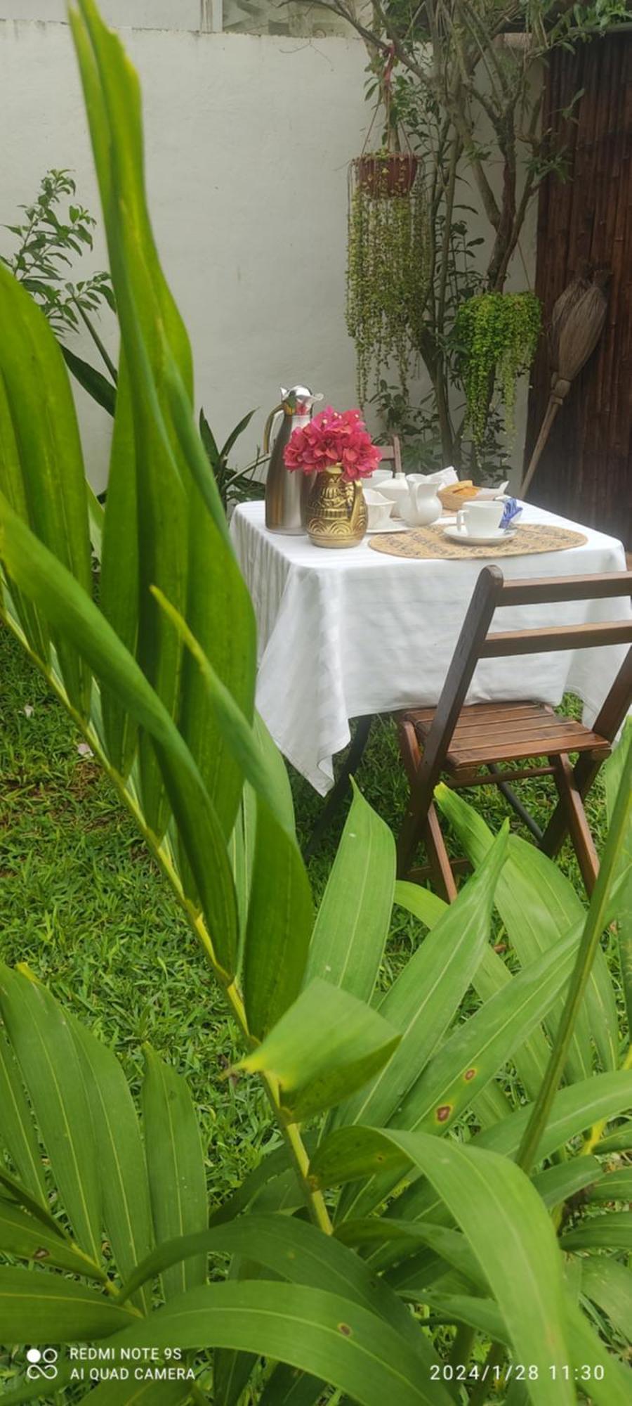 Quinta Rosita Bed & Breakfast Ticul Dış mekan fotoğraf