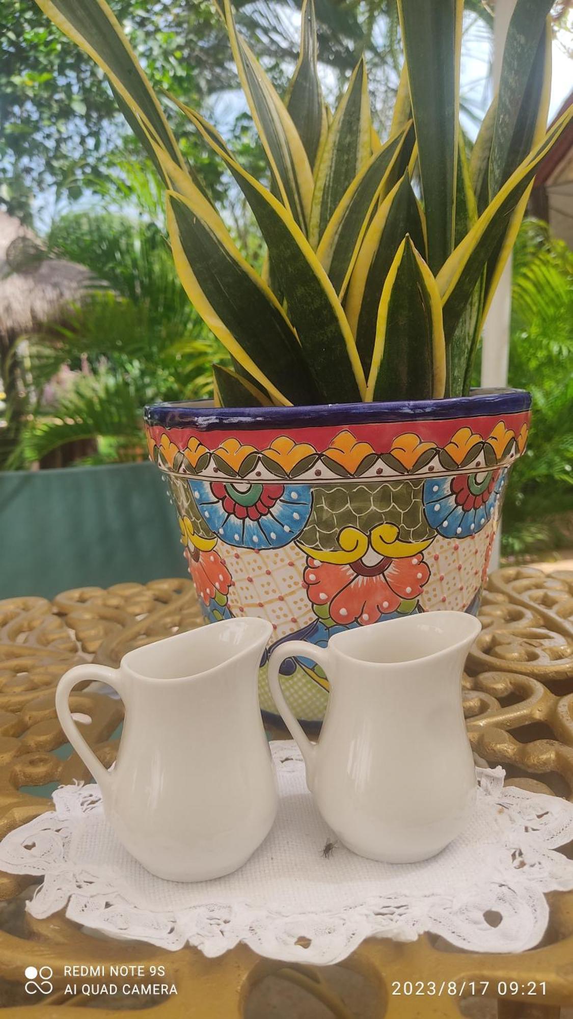 Quinta Rosita Bed & Breakfast Ticul Dış mekan fotoğraf