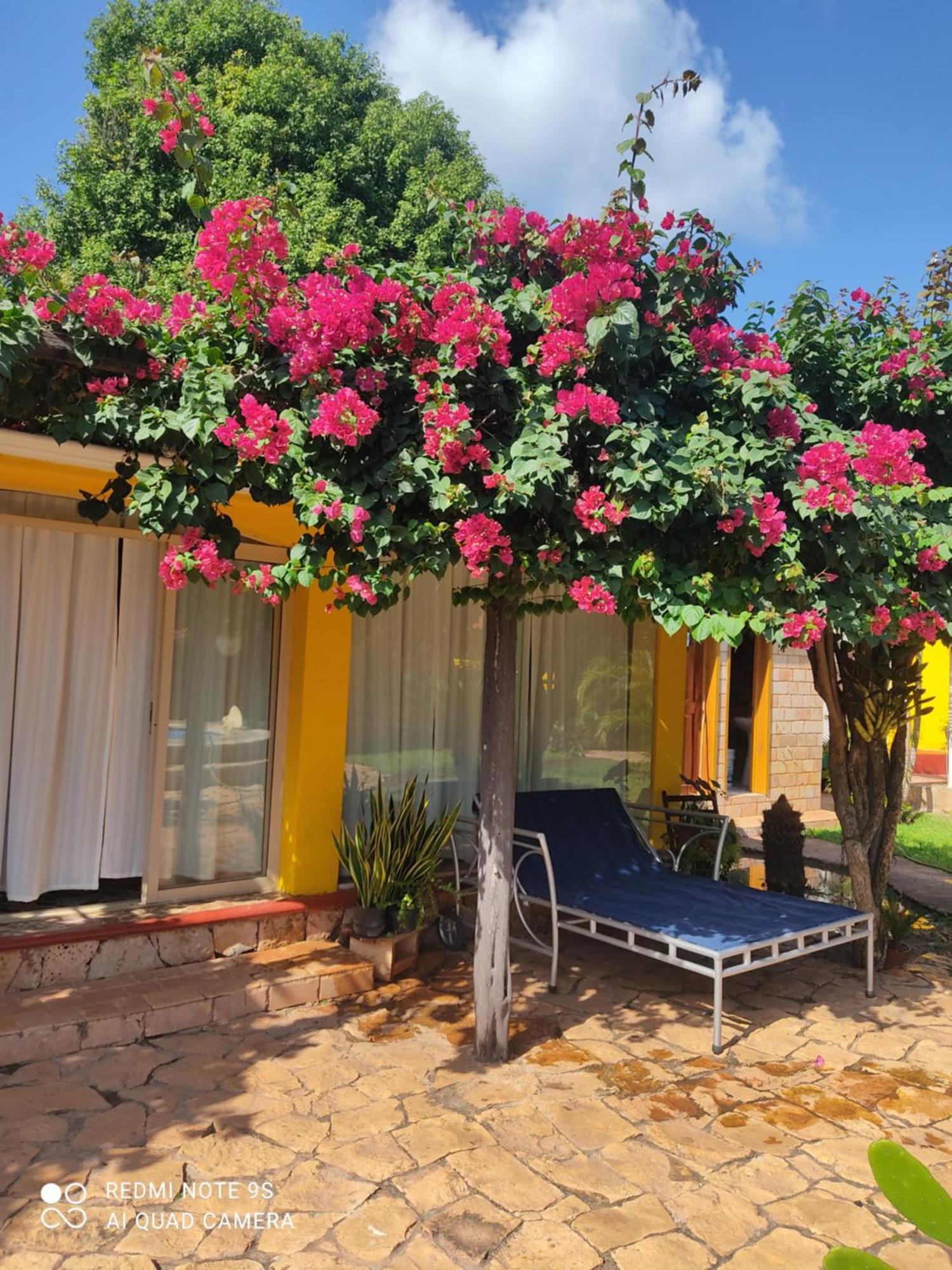 Quinta Rosita Bed & Breakfast Ticul Dış mekan fotoğraf
