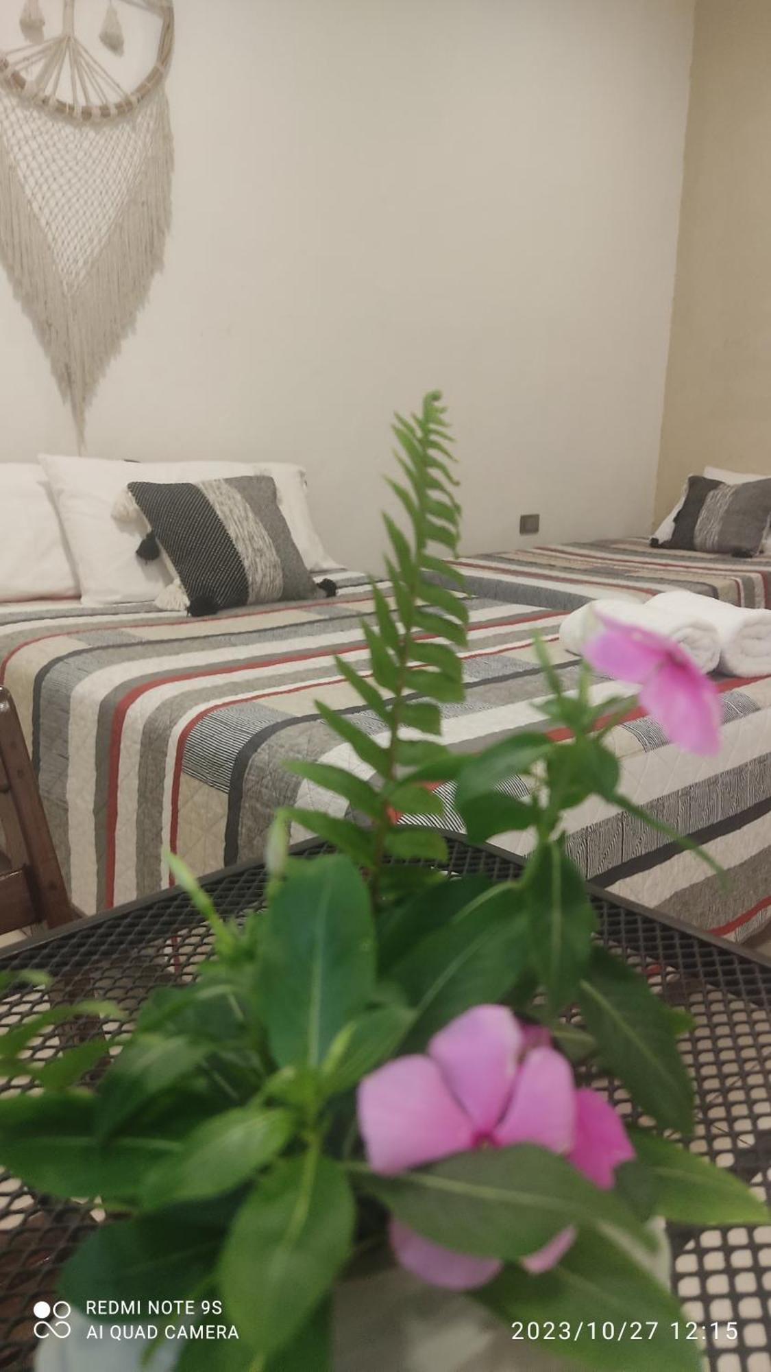 Quinta Rosita Bed & Breakfast Ticul Dış mekan fotoğraf
