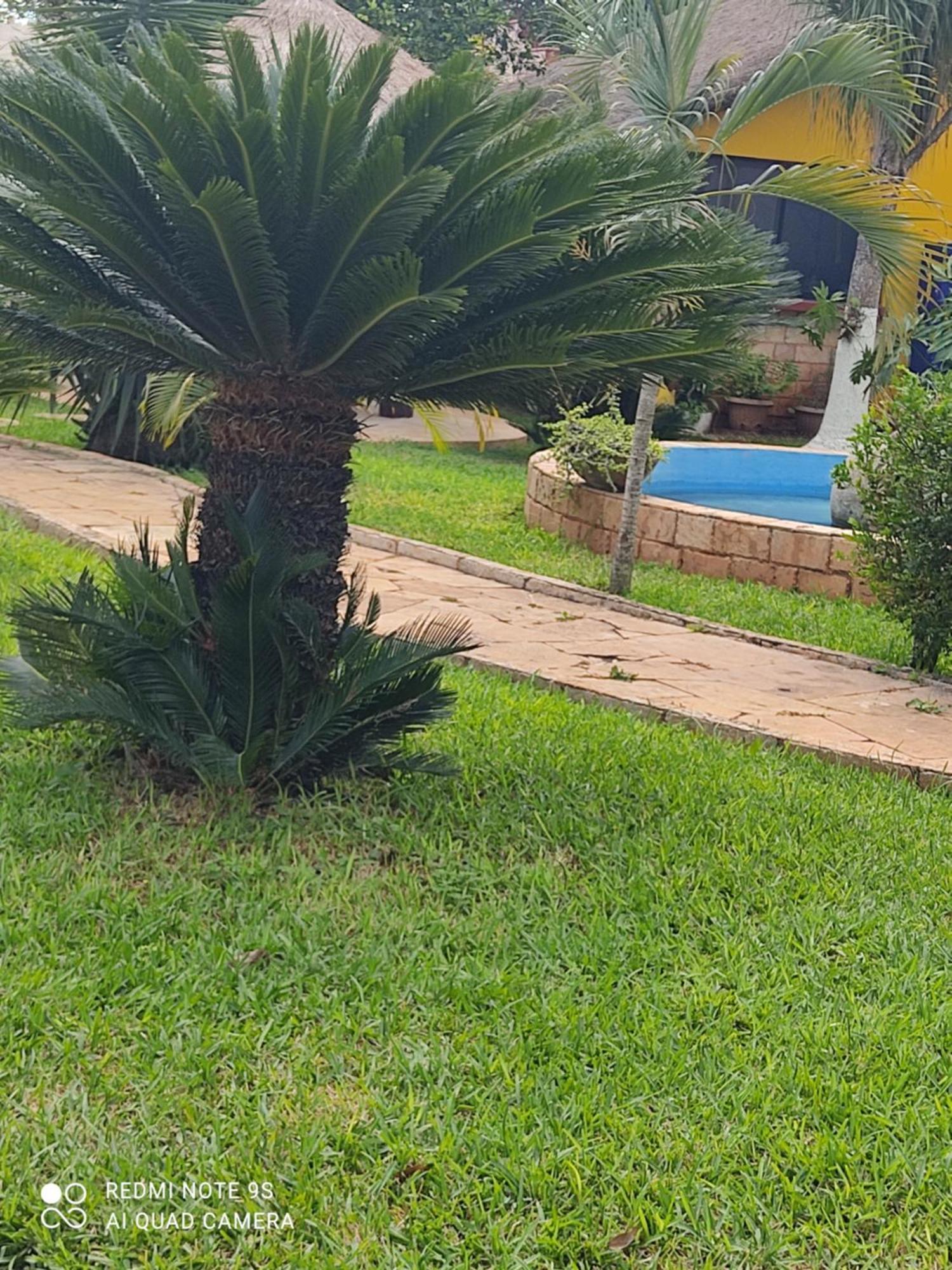 Quinta Rosita Bed & Breakfast Ticul Dış mekan fotoğraf