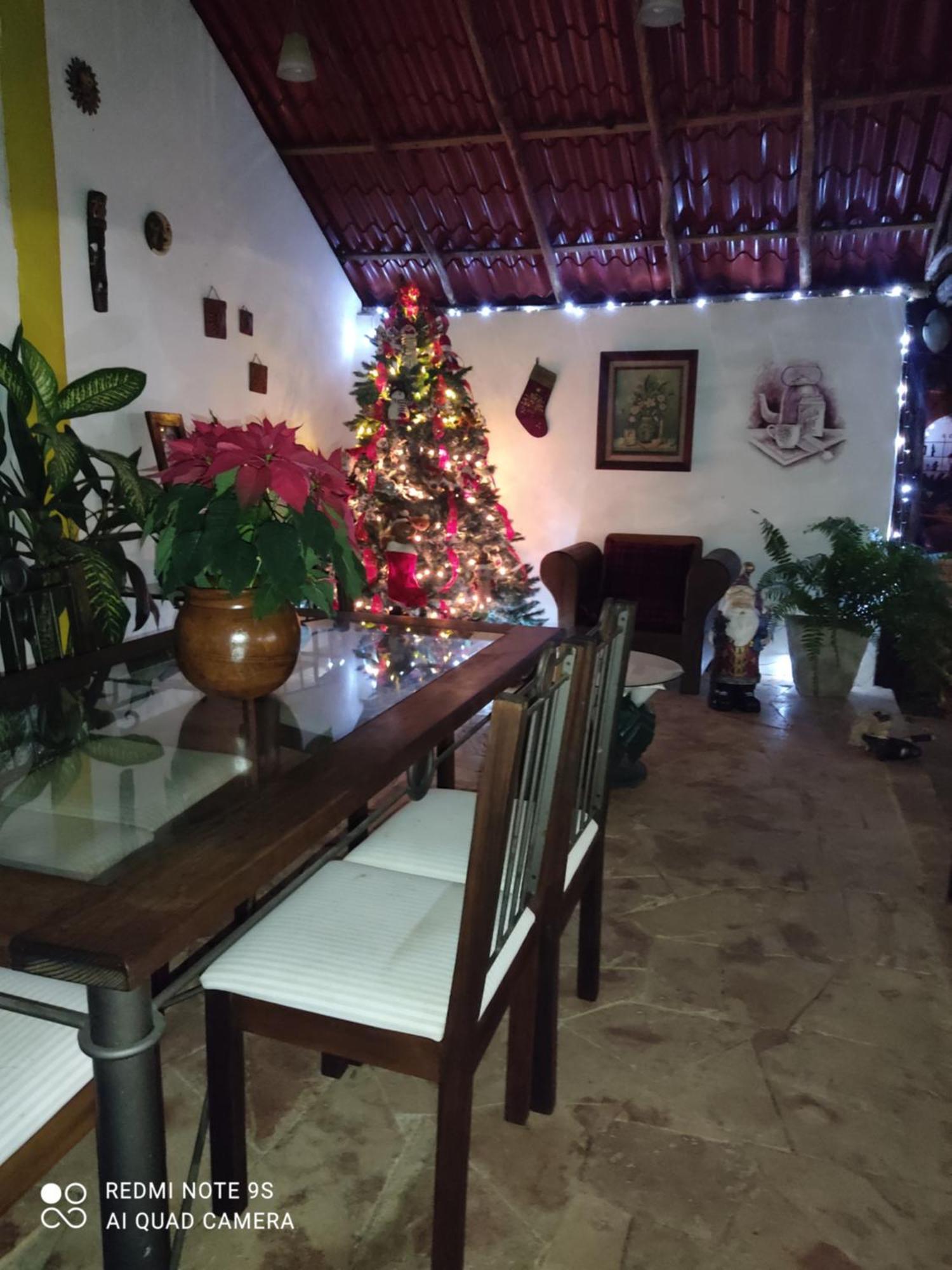 Quinta Rosita Bed & Breakfast Ticul Dış mekan fotoğraf