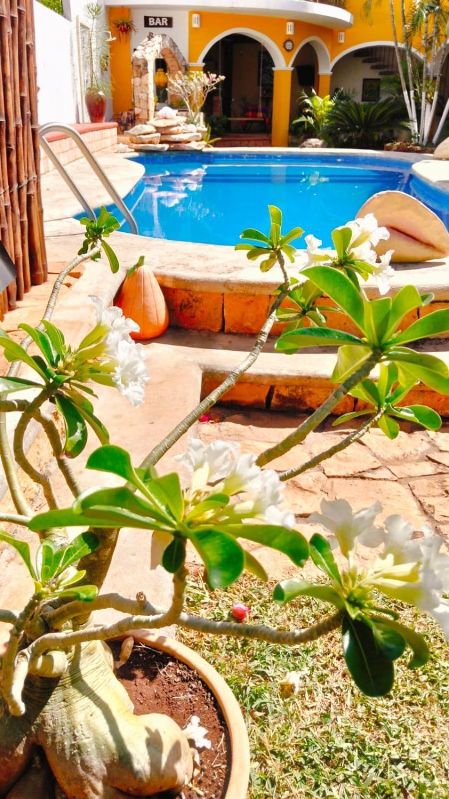 Quinta Rosita Bed & Breakfast Ticul Dış mekan fotoğraf