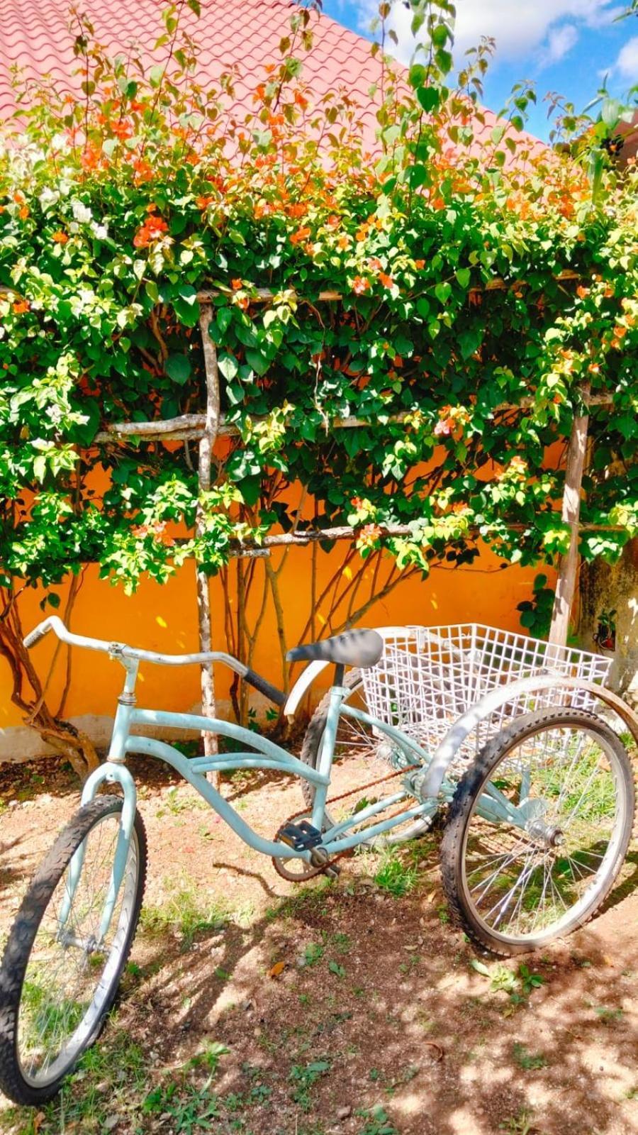 Quinta Rosita Bed & Breakfast Ticul Dış mekan fotoğraf