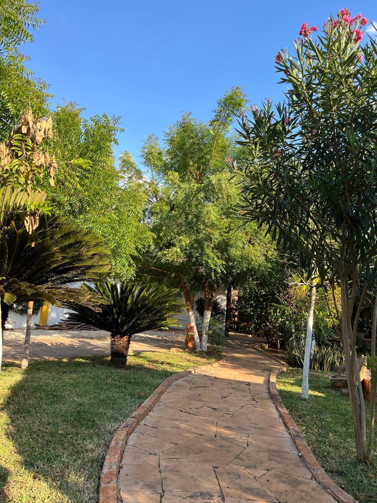 Quinta Rosita Bed & Breakfast Ticul Dış mekan fotoğraf